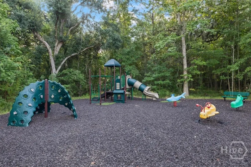 147 Bellasera Way Richmond Hill, GA 31324