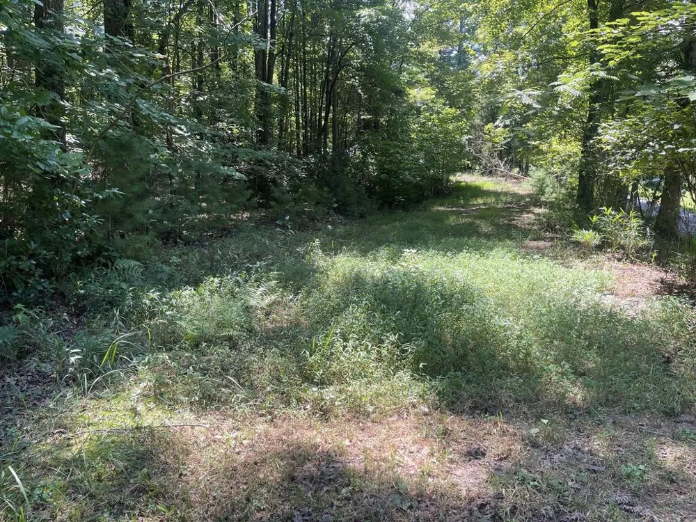 60 Oasis Drive Blue Ridge, GA 30513
