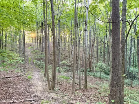 Greenbriar Road