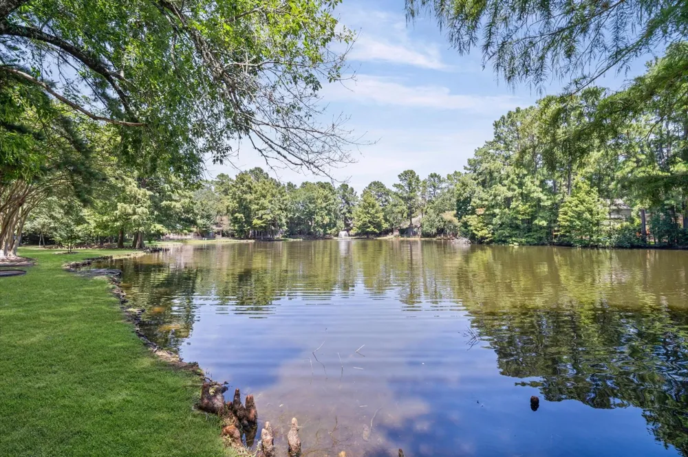 13 Lakeridge Drive Spring, TX 77381
