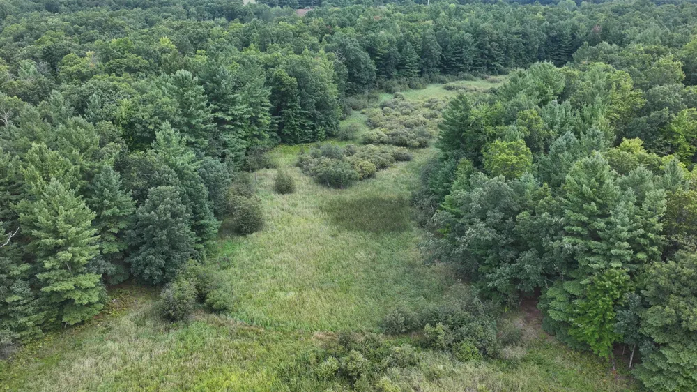 9372 W 7 Mile Road Irons, MI 49644