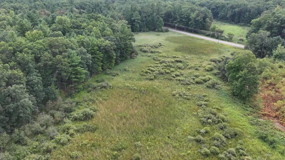 9372 W 7 Mile Road Irons, MI 49644