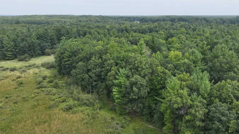 9372 W 7 Mile Road Irons, MI 49644