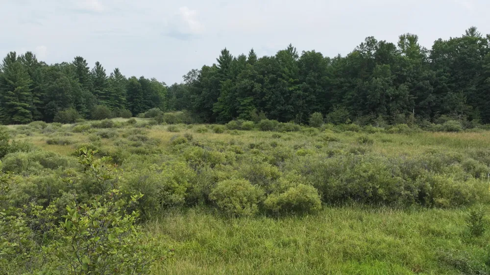 9372 W 7 Mile Road Irons, MI 49644