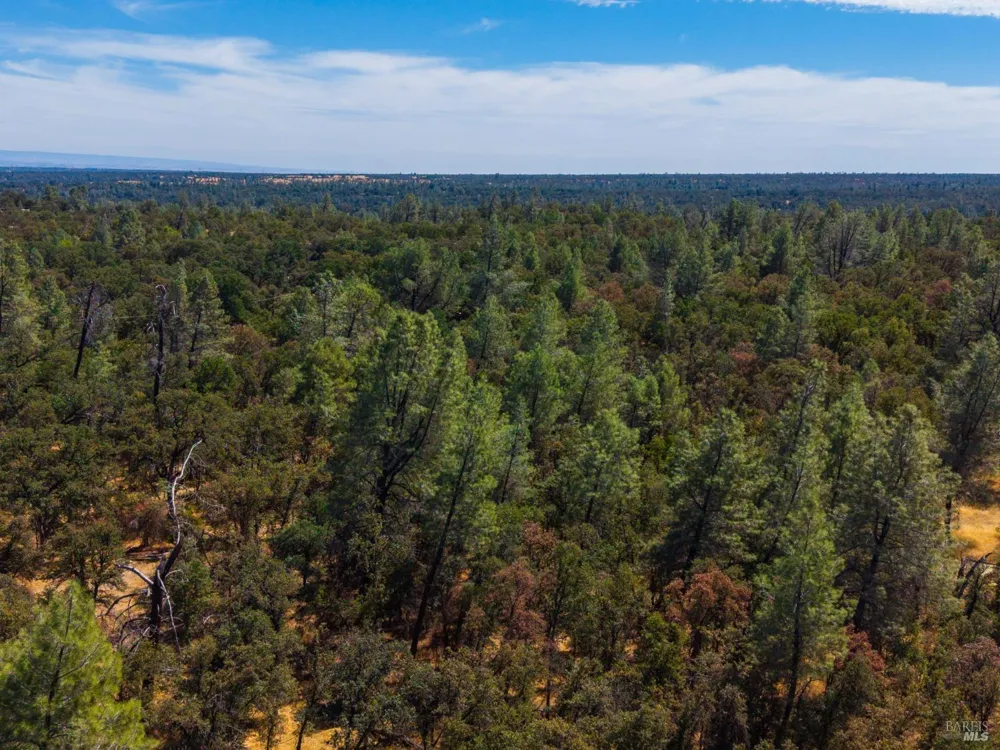 Tbd Richard Drive Cottonwood, CA 96022