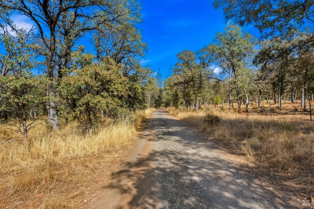 Tbd Richard Drive Cottonwood, CA 96022