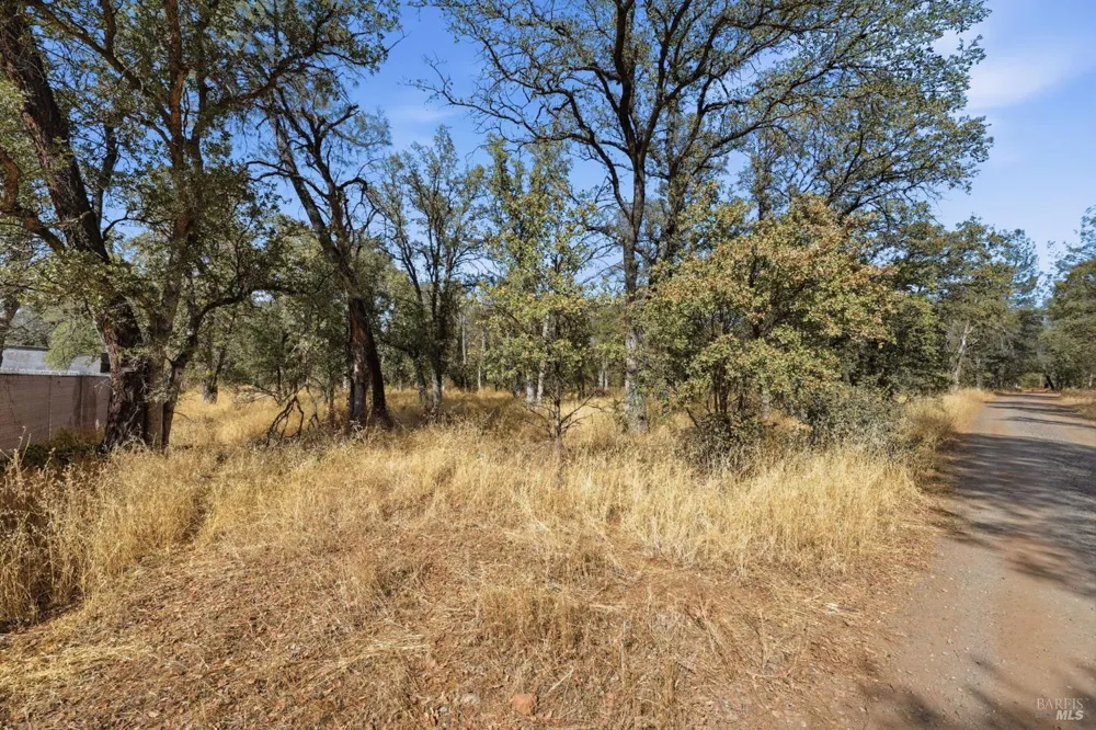 Tbd Richard Drive Cottonwood, CA 96022