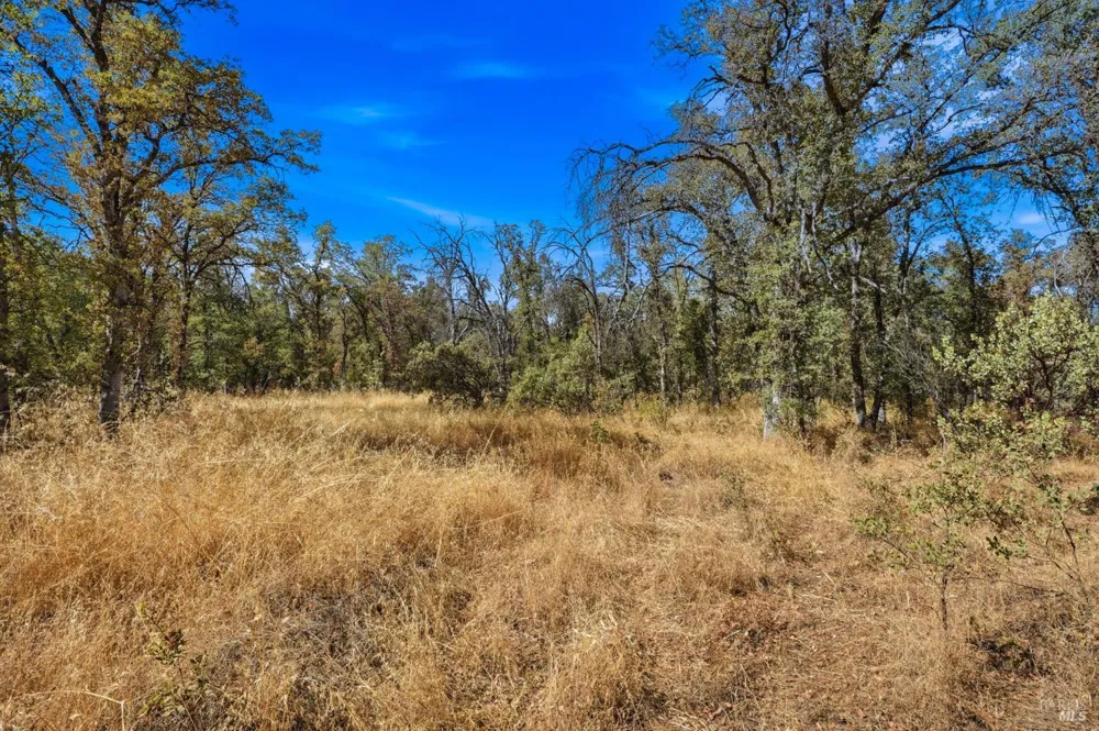 Tbd Richard Drive Cottonwood, CA 96022