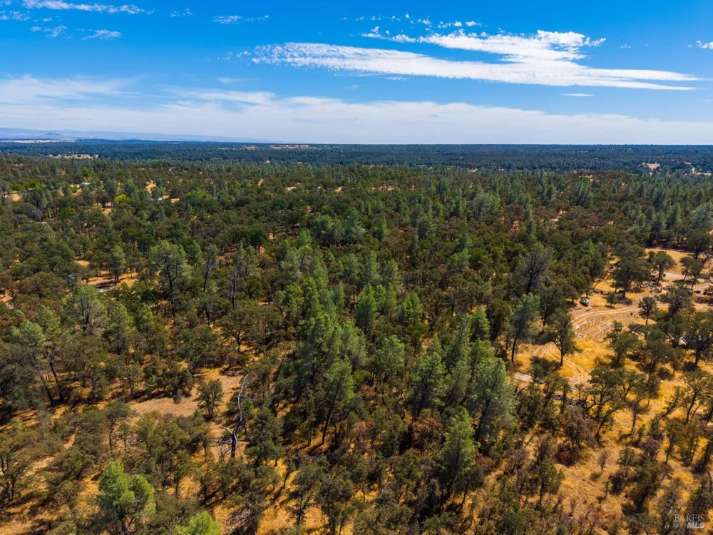 Tbd Richard Drive Cottonwood, CA 96022