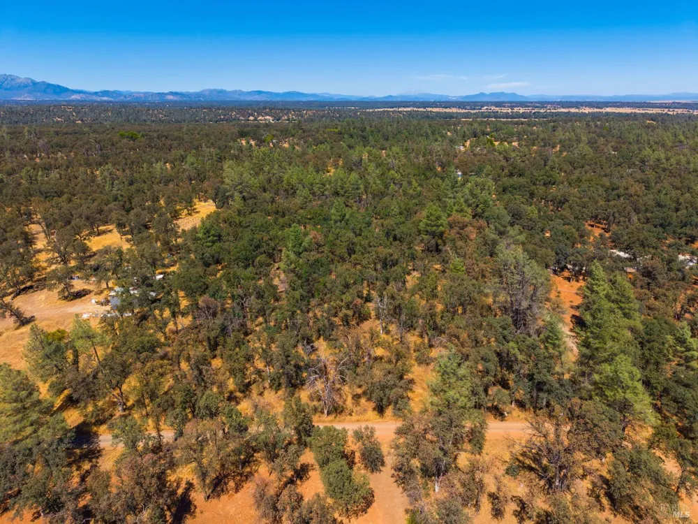 Tbd Richard Drive Cottonwood, CA 96022