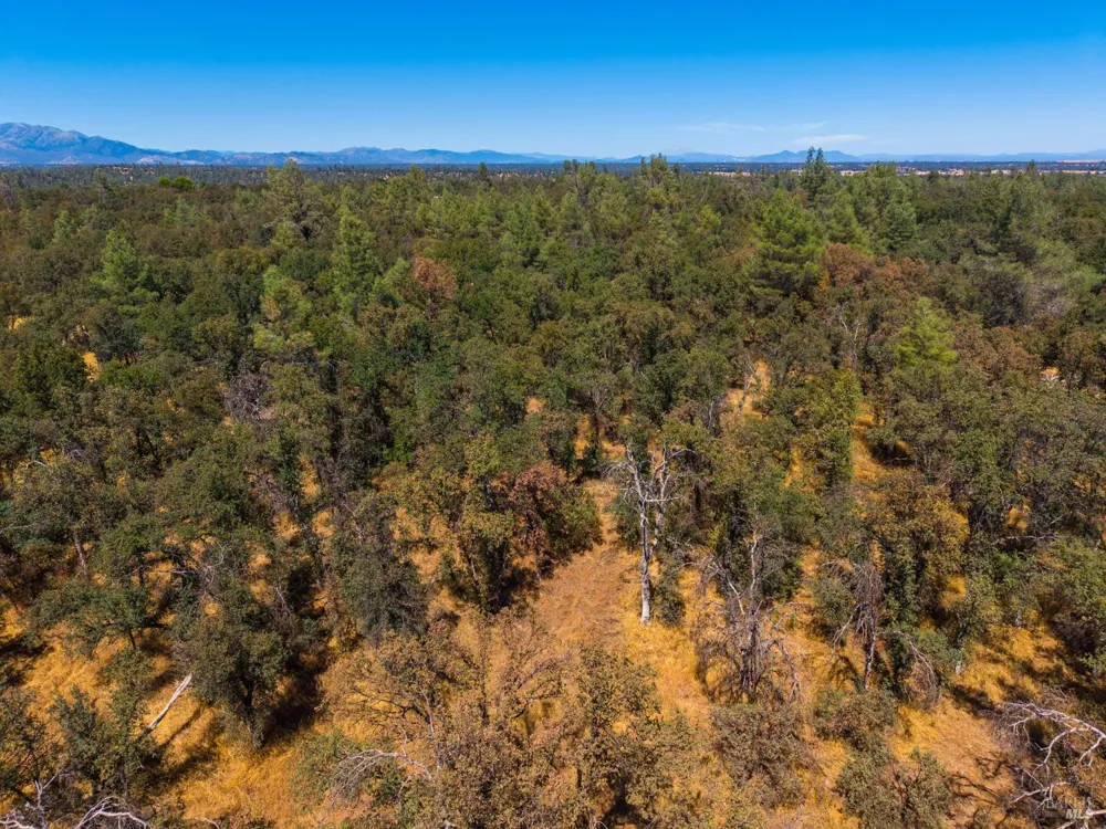 Tbd Richard Drive Cottonwood, CA 96022