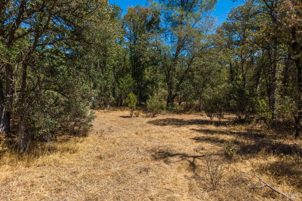 Tbd Richard Drive Cottonwood, CA 96022