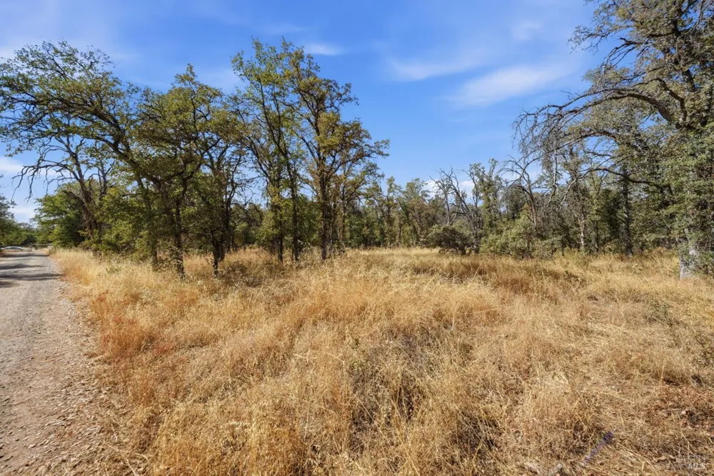 Tbd Richard Drive Cottonwood, CA 96022