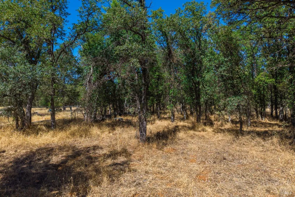 Tbd Richard Drive Cottonwood, CA 96022