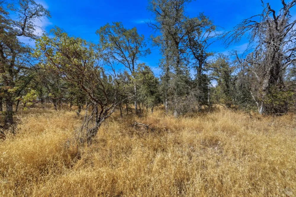 Tbd Richard Drive Cottonwood, CA 96022