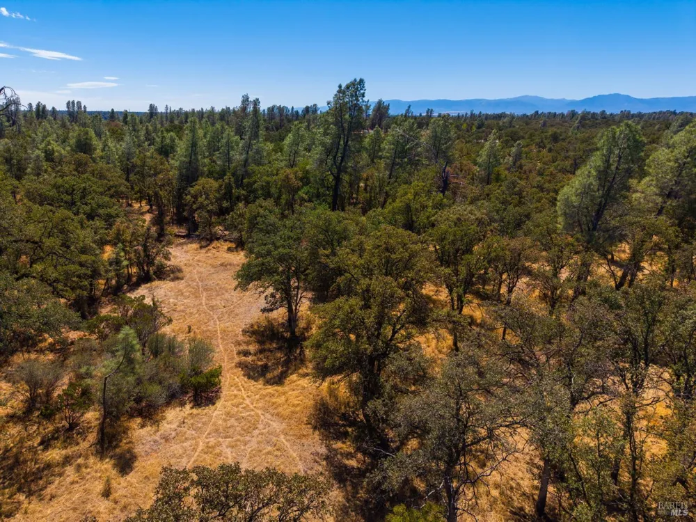 Tbd Richard Drive Cottonwood, CA 96022