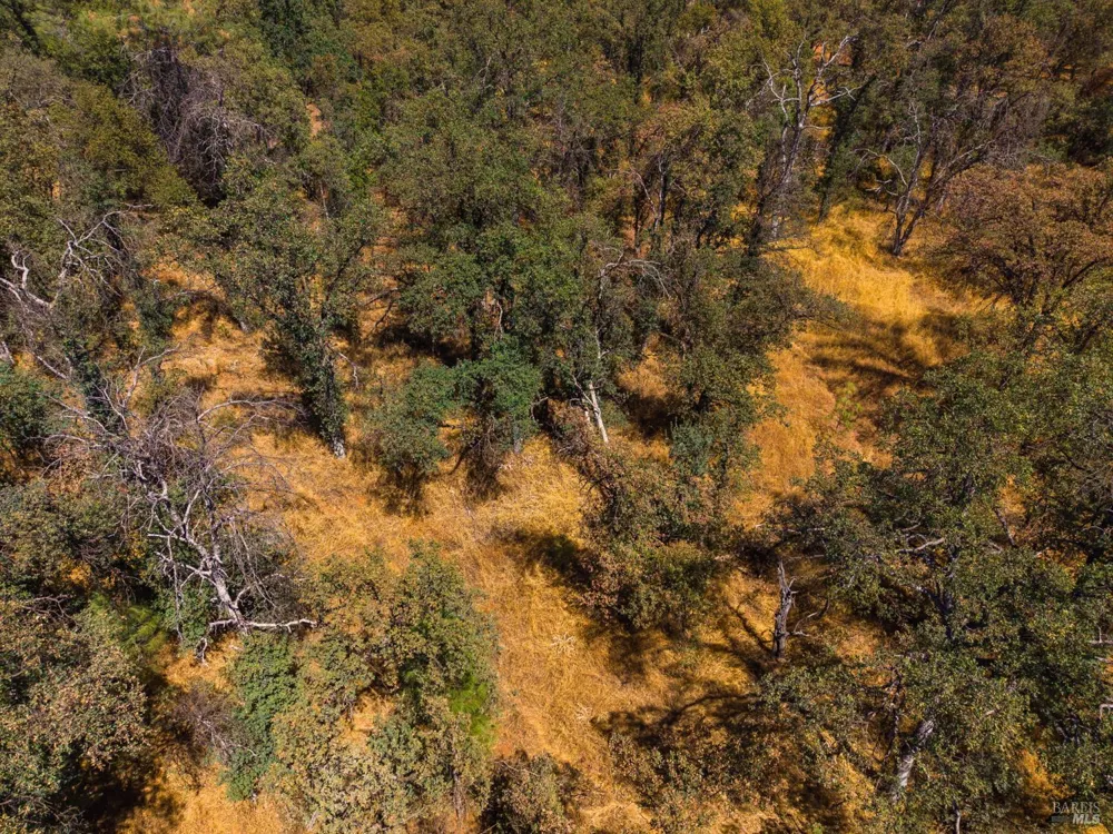 Tbd Richard Drive Cottonwood, CA 96022