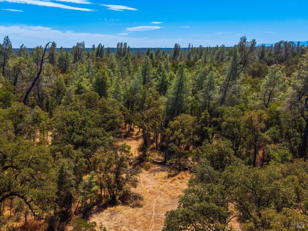 Tbd Richard Drive Cottonwood, CA 96022