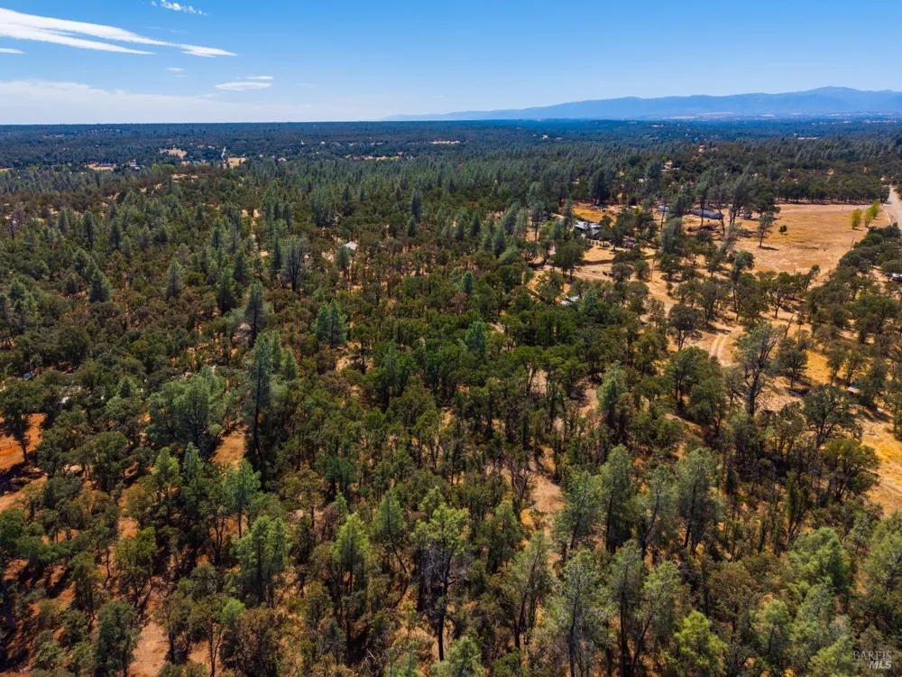Tbd Richard Drive Cottonwood, CA 96022