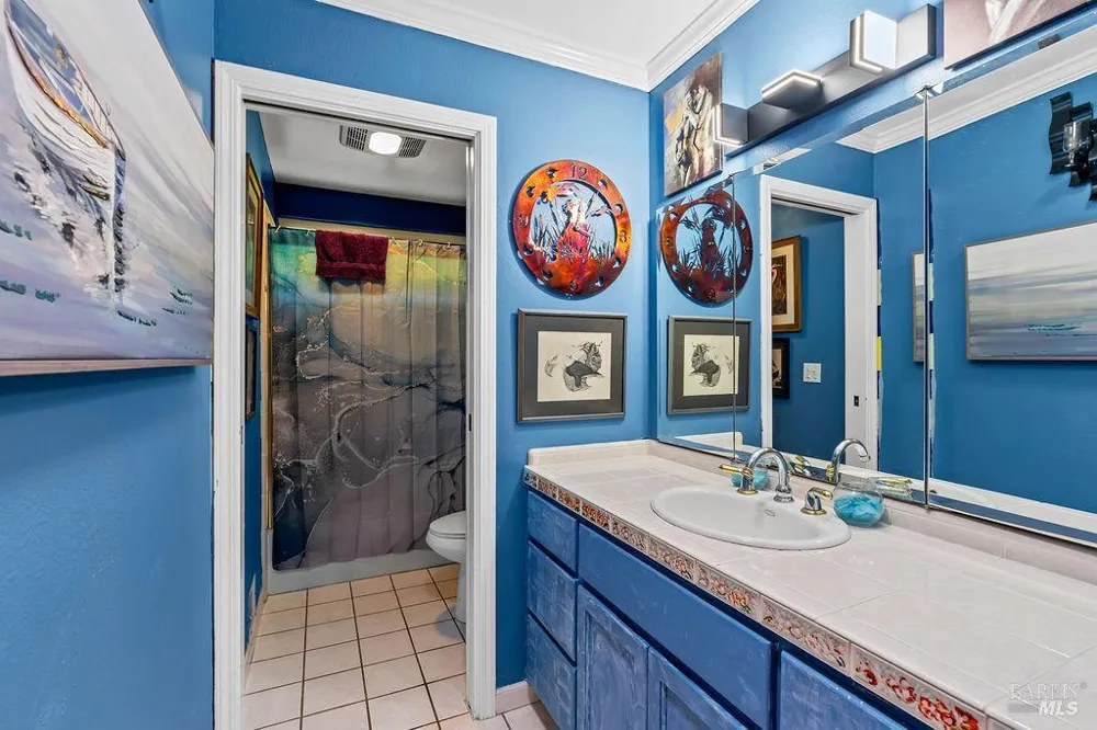 132 Mountain Vista Circle Santa Rosa, CA 95409