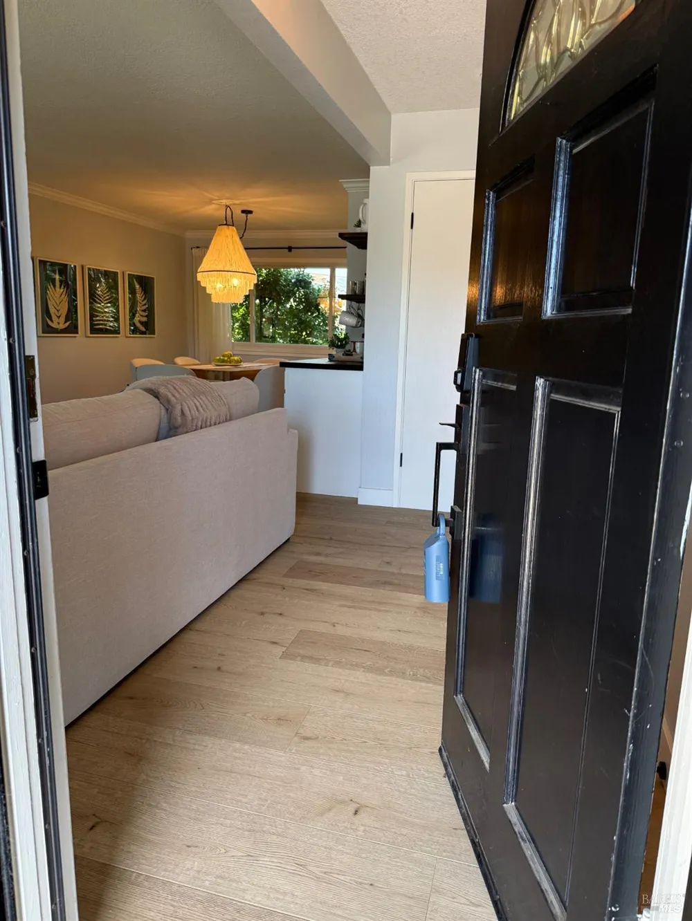 455 Donner Court Petaluma, CA 94954