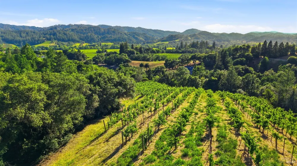 1750 Lytton Springs Road Healdsburg, CA 95448