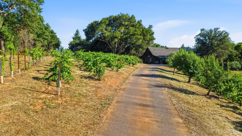 1750 Lytton Springs Road Healdsburg, CA 95448
