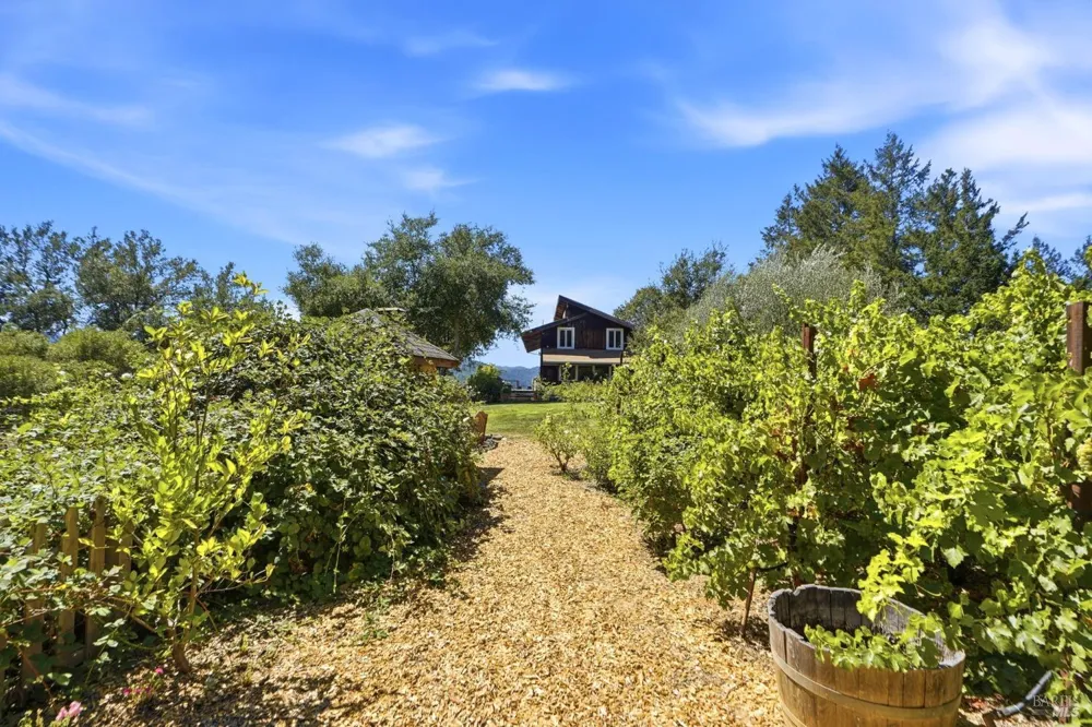 1750 Lytton Springs Road Healdsburg, CA 95448
