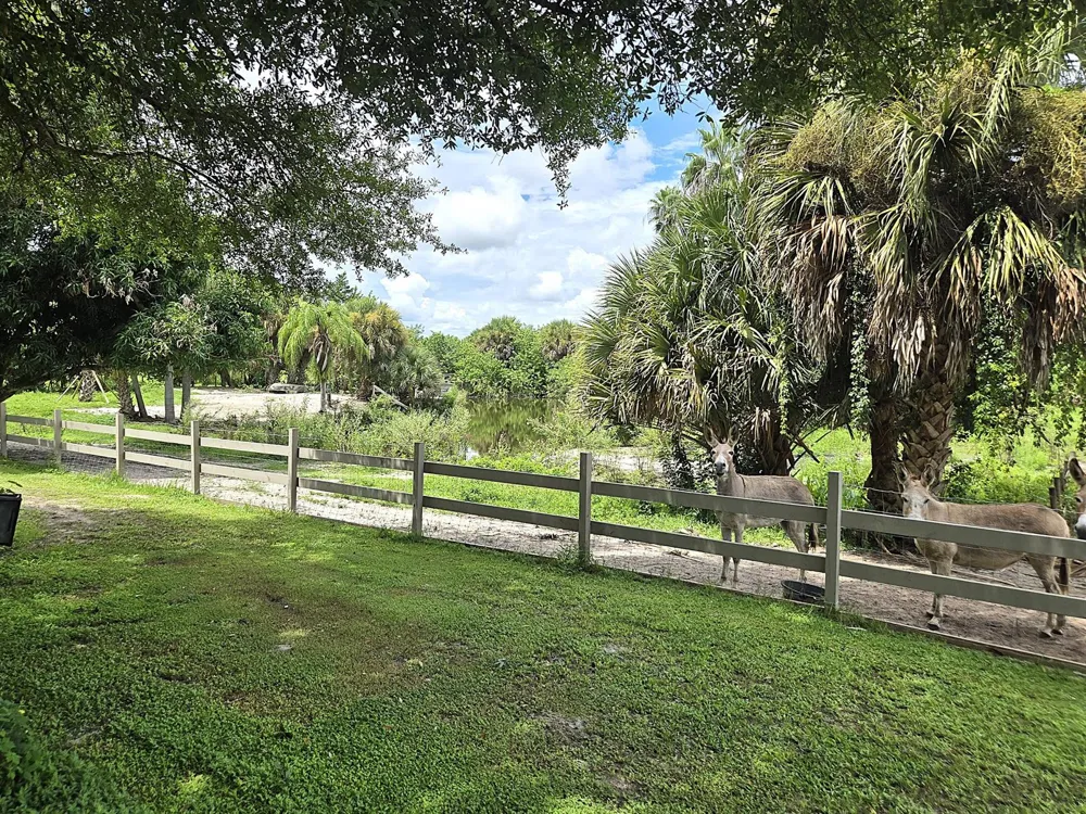 2219 County Road 721 Loop Moore Haven, FL 33471
