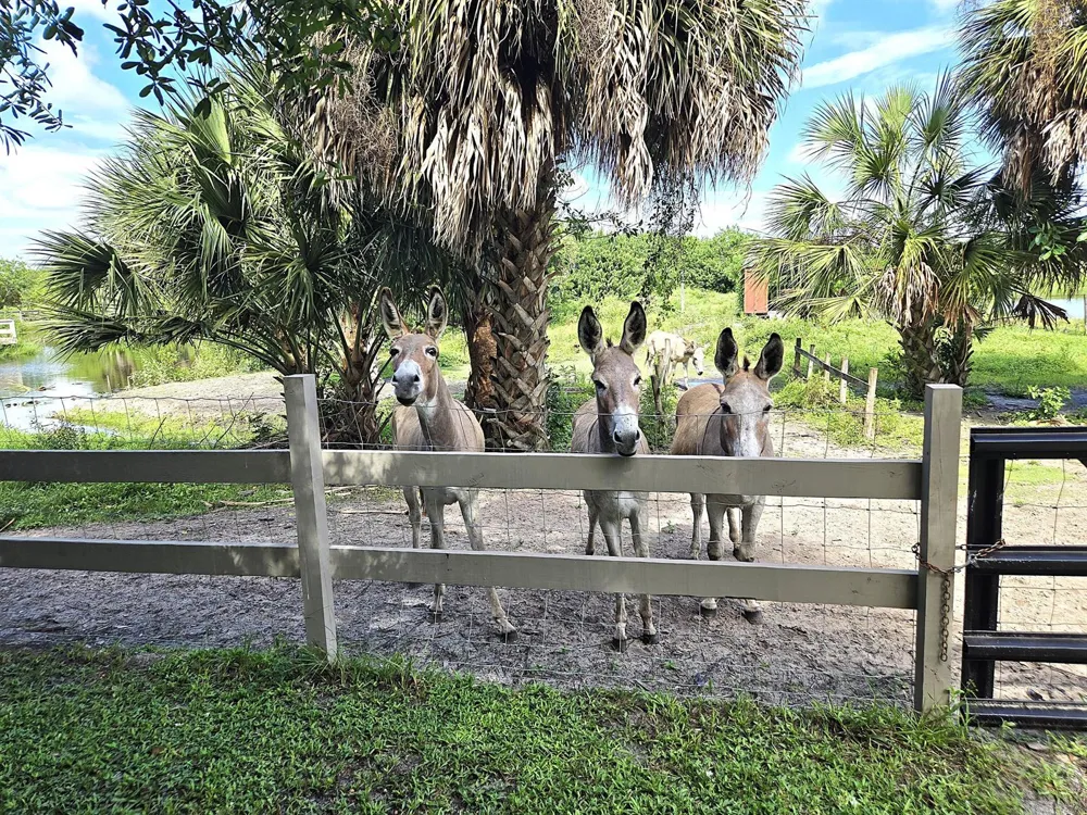 2219 County Road 721 Loop Moore Haven, FL 33471