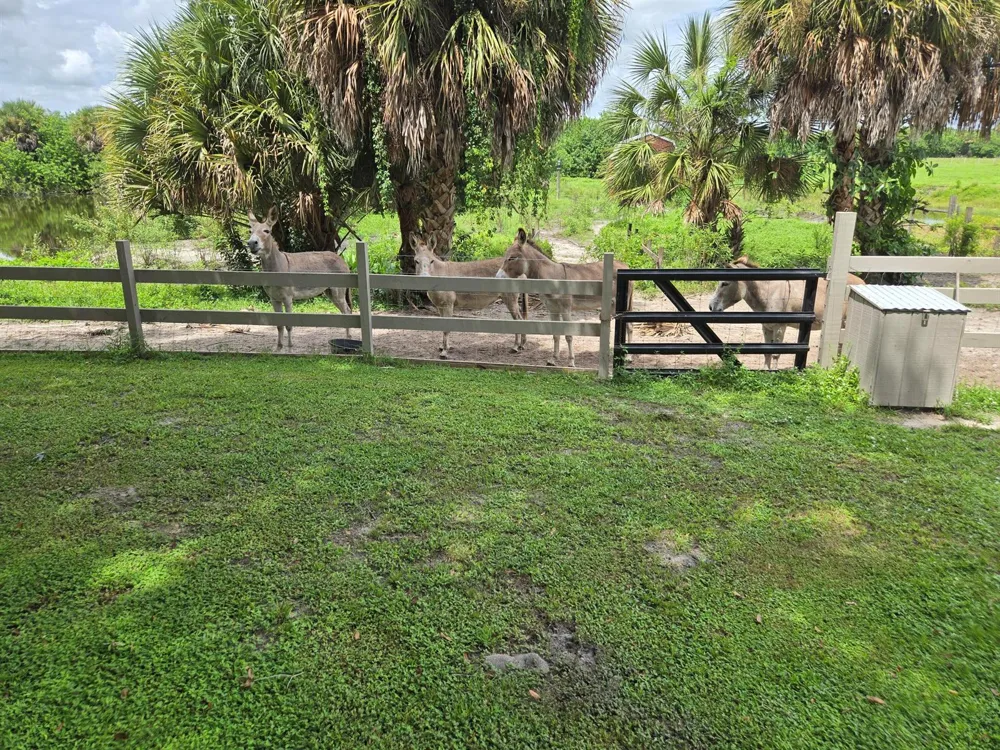 2219 County Road 721 Loop Moore Haven, FL 33471