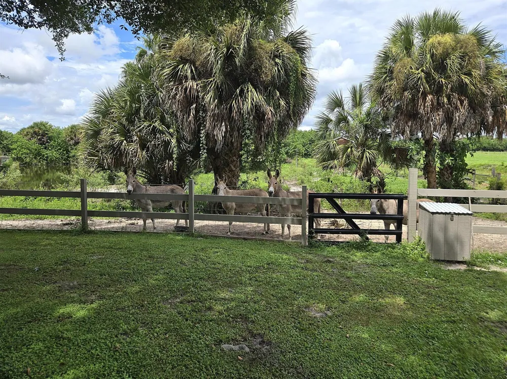 2219 County Road 721 Loop Moore Haven, FL 33471