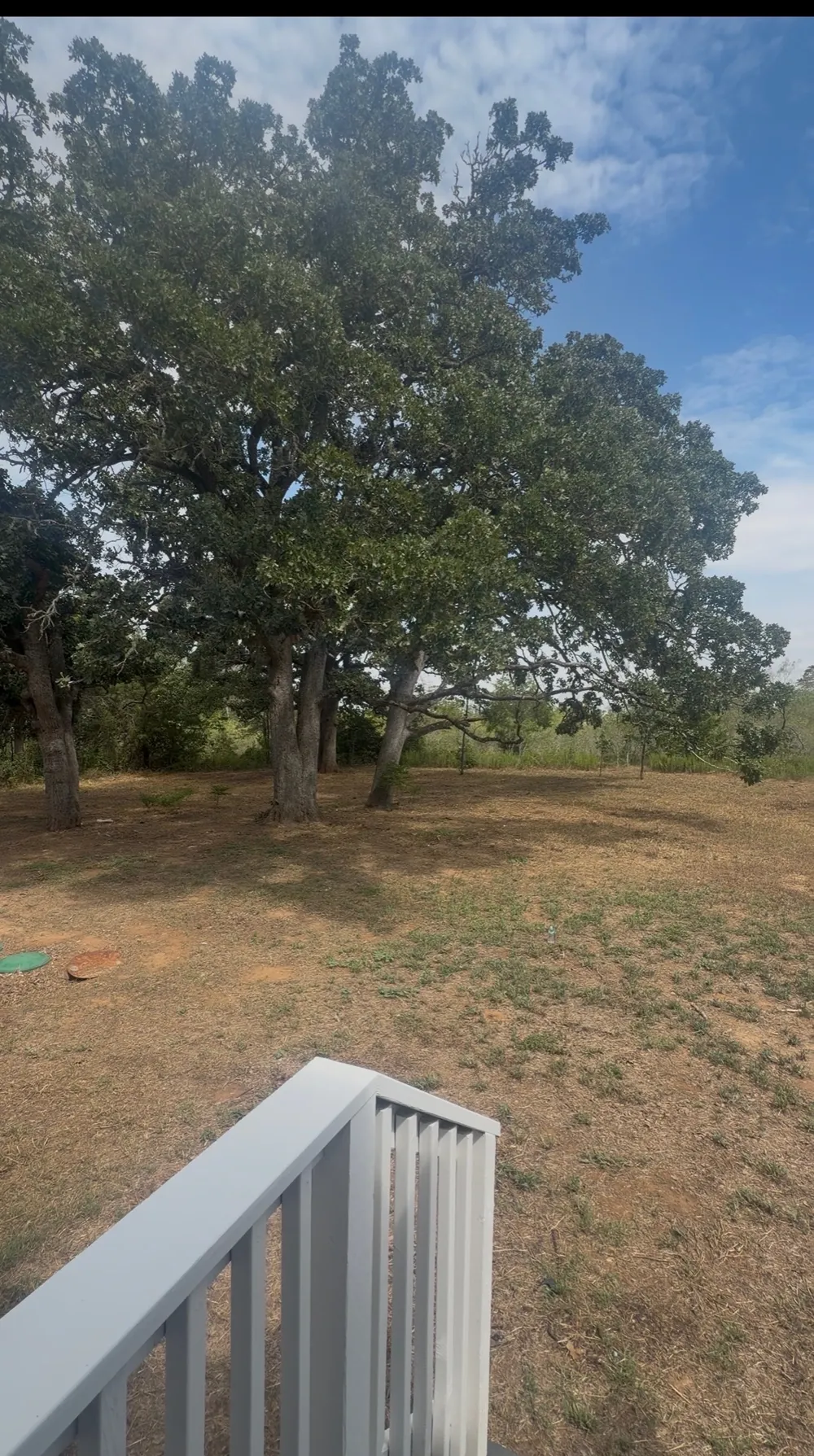 176 Whispering Pines Drive Bastrop, TX 78602