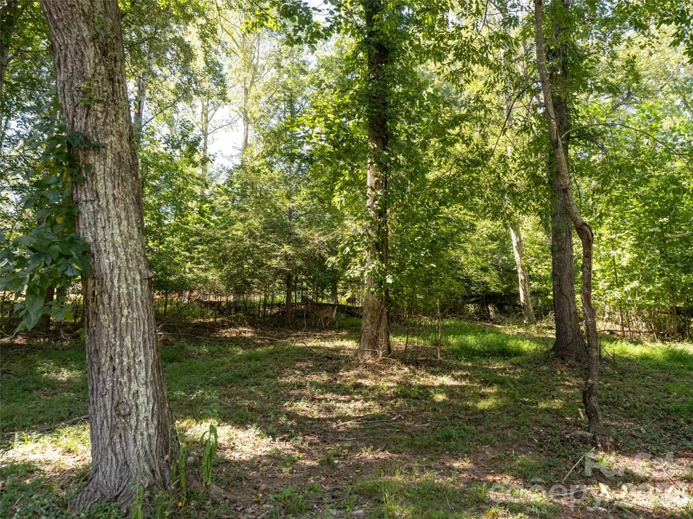 26 Audrey Lane Asheville, NC 28806