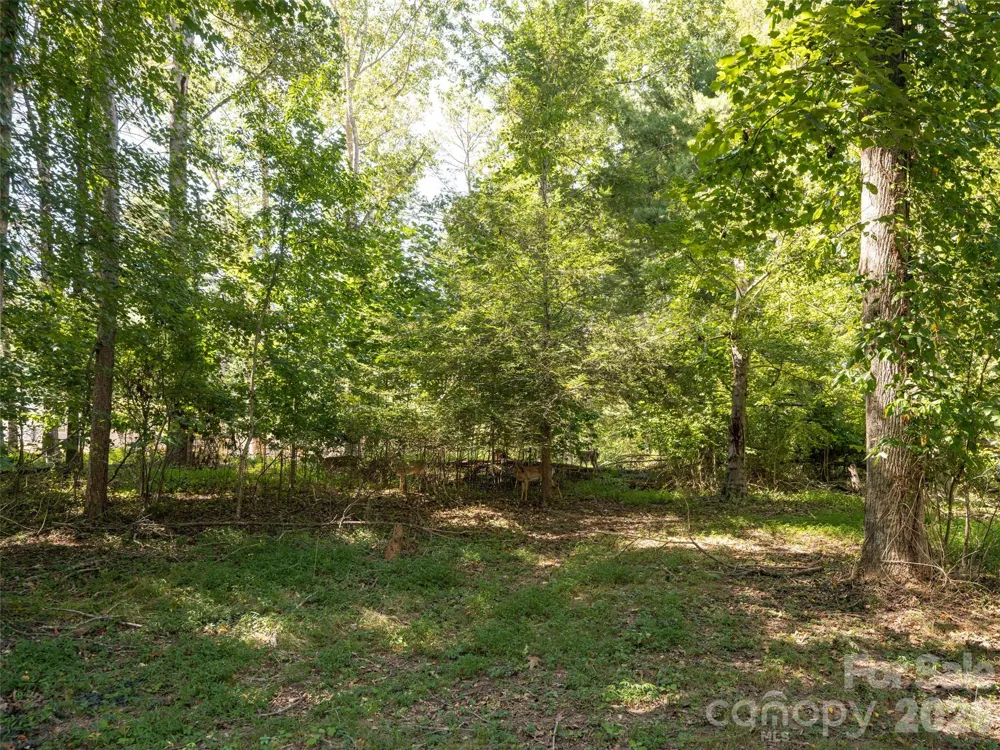 26 Audrey Lane Asheville, NC 28806