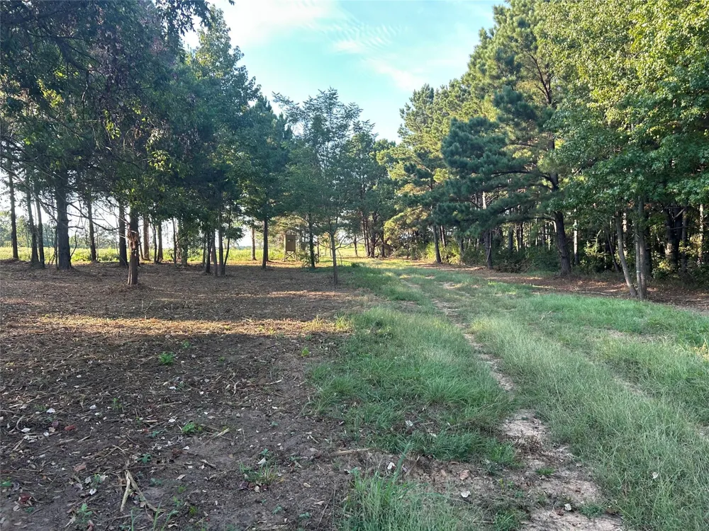 1 Highway 7 West Crockett, TX 75835
