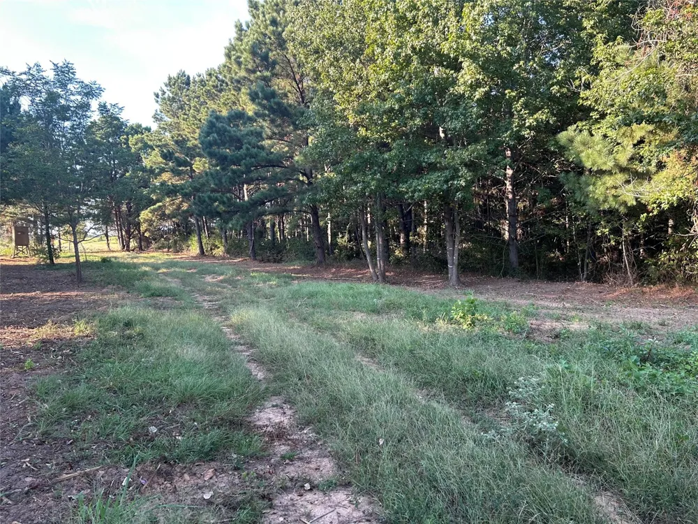 1 Highway 7 West Crockett, TX 75835
