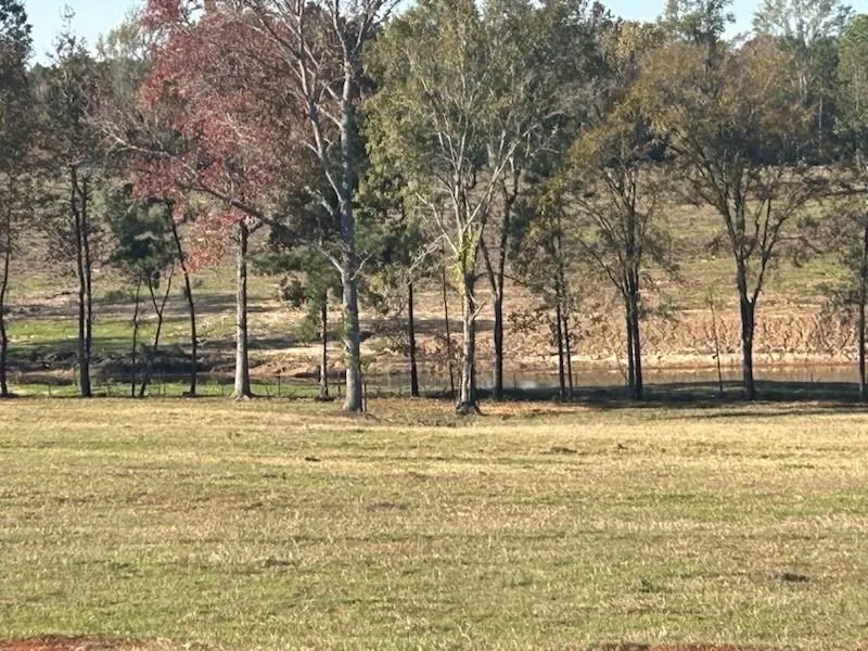 2 Highway 7 West Crockett, TX 75835