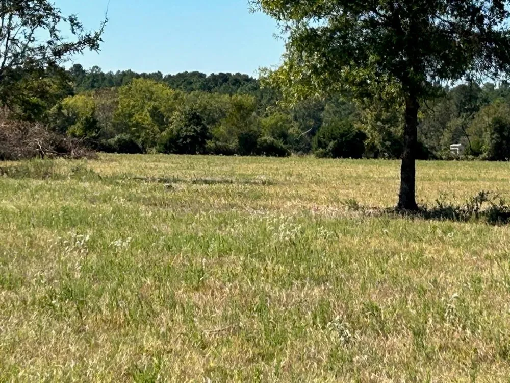 2 Highway 7 West Crockett, TX 75835
