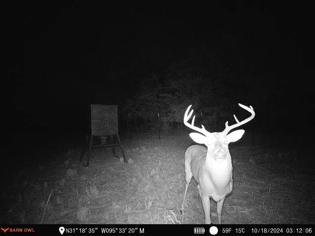 2 Highway 7 West Crockett, TX 75835