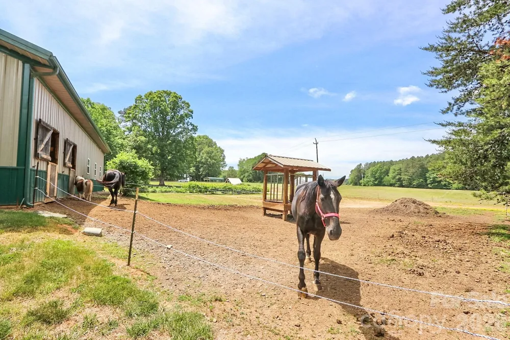 4844 Saint Paul Church Road Hamptonville, NC 27020