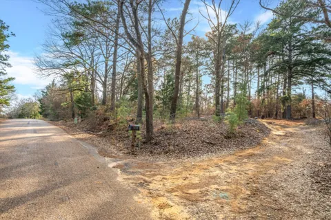 3 County Road 3520