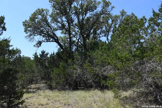 291 Serenity Pass Spring Branch, TX 78070