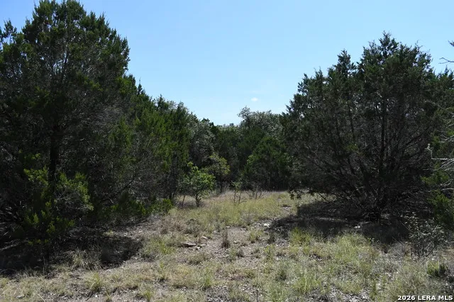 291 Serenity Pass Spring Branch, TX 78070