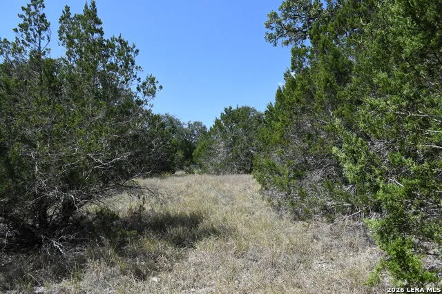 291 Serenity Pass Spring Branch, TX 78070