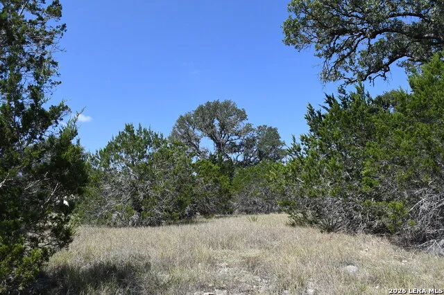 291 Serenity Pass Spring Branch, TX 78070