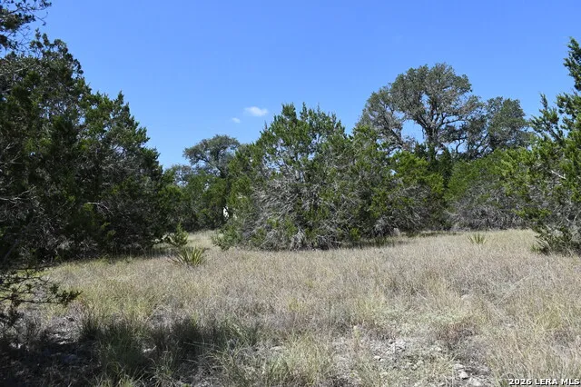 291 Serenity Pass Spring Branch, TX 78070