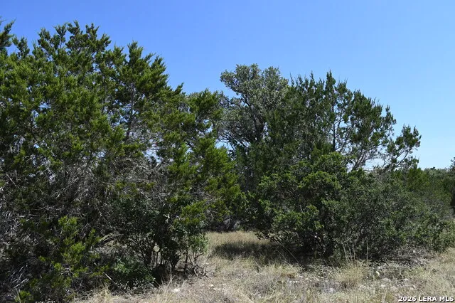291 Serenity Pass Spring Branch, TX 78070