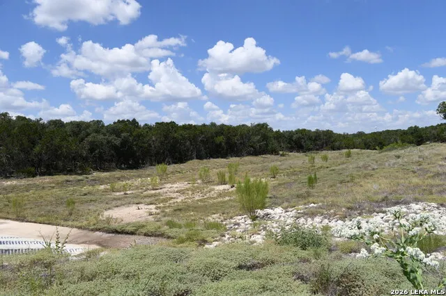 291 Serenity Pass Spring Branch, TX 78070