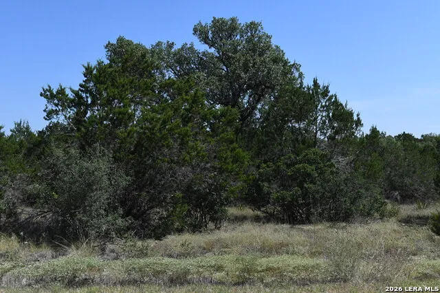 291 Serenity Pass Spring Branch, TX 78070
